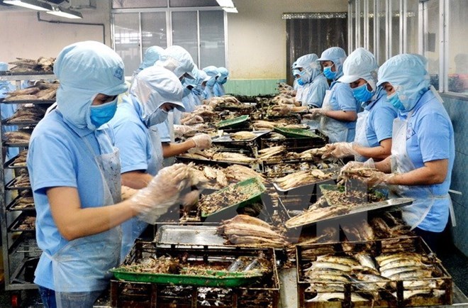 附圖：2018年前兩月越南水產(chǎn)品出口額同比增長(zhǎng)近30%。（圖片來(lái)源：越通社）